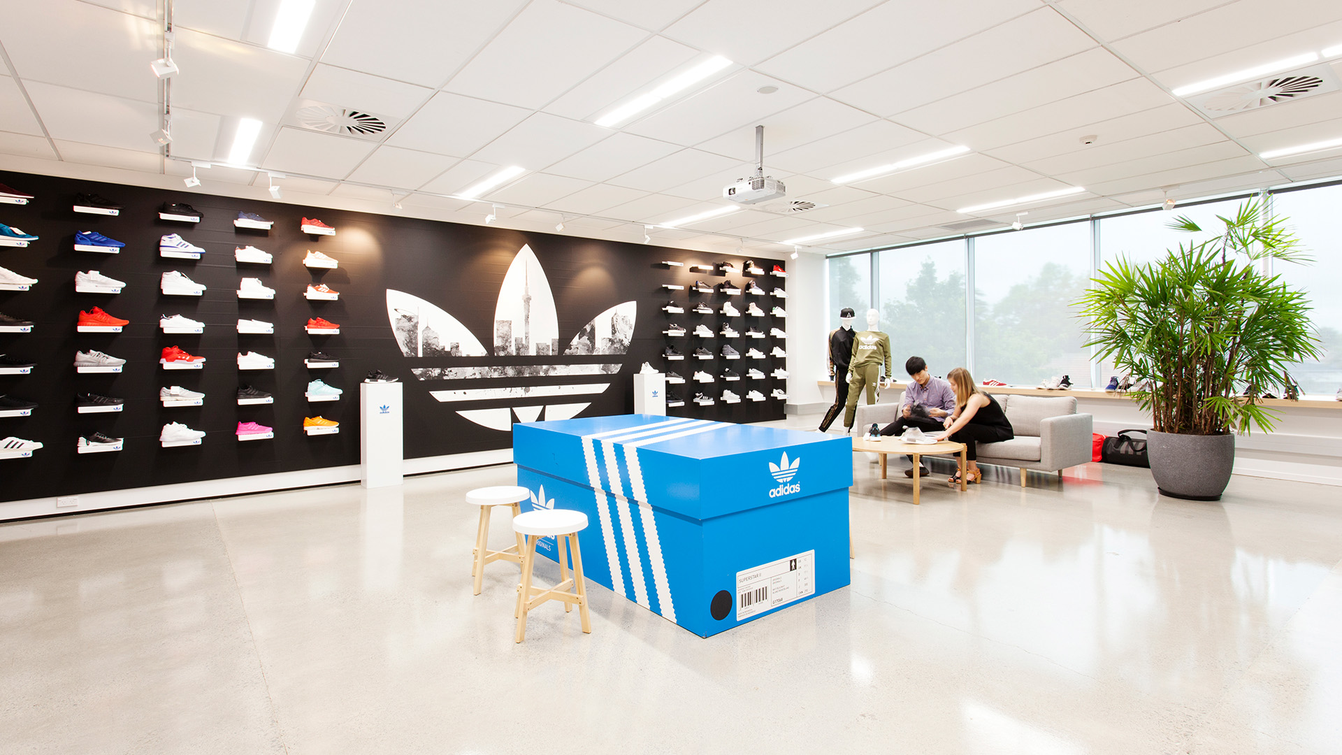 Head | Adidas - STACK Interiors