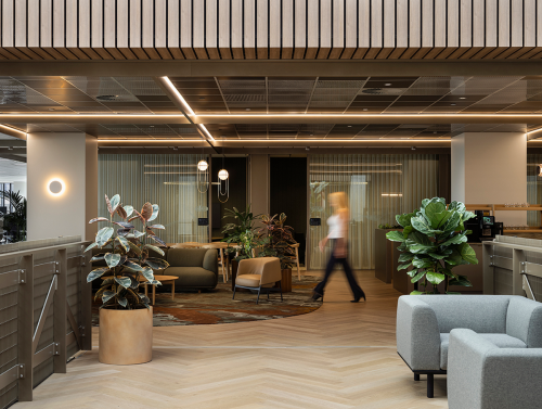 One New Zealand View across interconnecting bridge