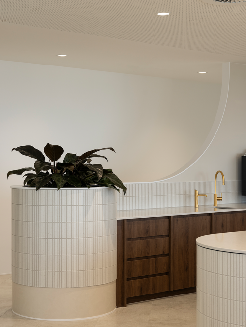 Wynn Williams Kitchen Detail