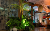 STACK sponsors the Inaugural Aotearoa Biophilic Event